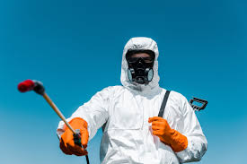 Best Termite Inspection and Treatment  in Ave Maria, FL